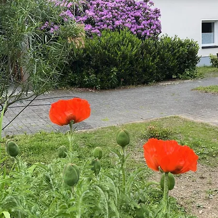 Im Alten Max Apartman Eslohe